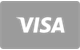 Visa platební karta přijímána na Wyns Casino
